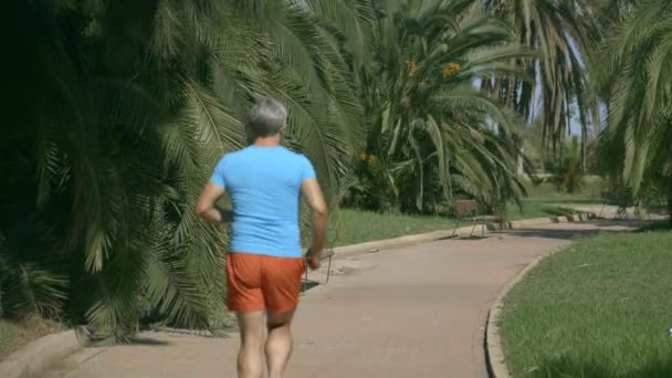身穿蓝色 t恤的运动员沿着热带公园的小道奔跑 — 图库视频影像