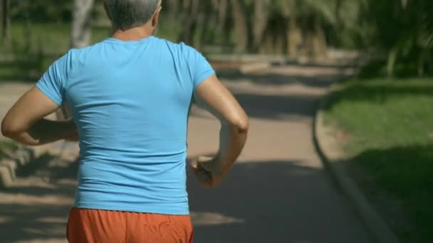 Ung grå korthårig mannen i blå tshirt runnings tropisk park landsväg, närbild slowmotion sköt — Stockvideo