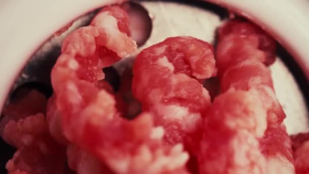 Making raw mincemeat with a meat mincer, macro shot — Stock Video