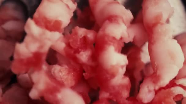 Picadillo crudo, macro shot — Vídeo de stock