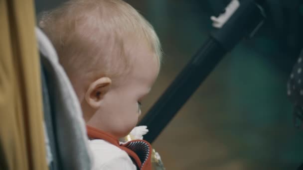 Kız Üzgün Bebek Arabasındaki Bebek — Stok video