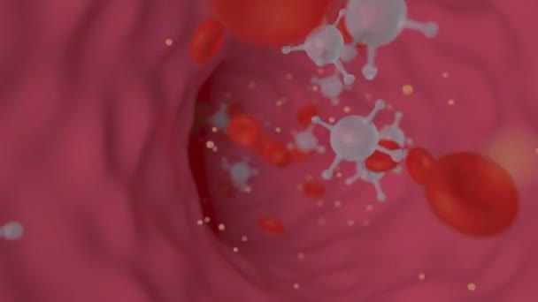 Клетки крови движутся вдоль сосуда, зацикленная концептуальная 3D анимация — стоковое видео