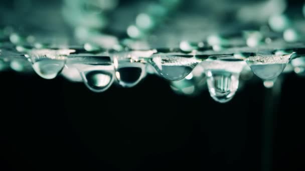 Slow motion macro shot of falling water drops — Stock Video