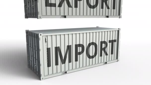 Contenitore con testo IMPORT rotto da container cargo con iscrizione EXPORT. Animazione 3D concettuale — Video Stock