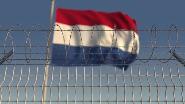 Sfocato sventolando bandiera dei Paesi Bassi dietro recinzione filo spinato. Animazione 3D Loopable — Video Stock