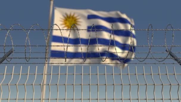 Wazig wapperende vlag van Uruguay achter prikkeldraad hek. Loopbare 3d animatie — Stockvideo