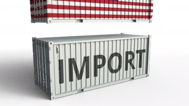 Contenitore con bandiera della Malaysia rompere container con testo IMPORT. Animazione 3D concettuale — Video Stock