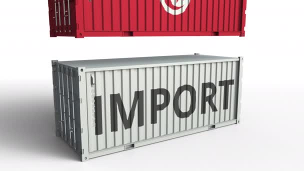 El contenedor de carga con bandera de Túnez rompe el contenedor con texto IMPORTAR. Animación 3D conceptual — Vídeos de Stock