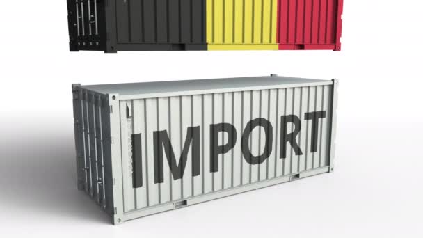 Контейнер з прапором Бельгії порушення контейнера з імпортом тексту. Концептуальна 3D-анімація — стокове відео