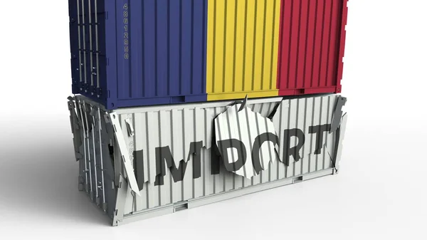 Contenitore con bandiera della Romania rompere container con testo IMPORT. Rendering 3D concettuale — Foto Stock