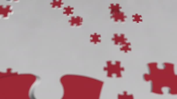 ジグソー パズルのピースで作られているチェコ共和国の旗。問題解決策の概念 3 d アニメーション — ストック動画