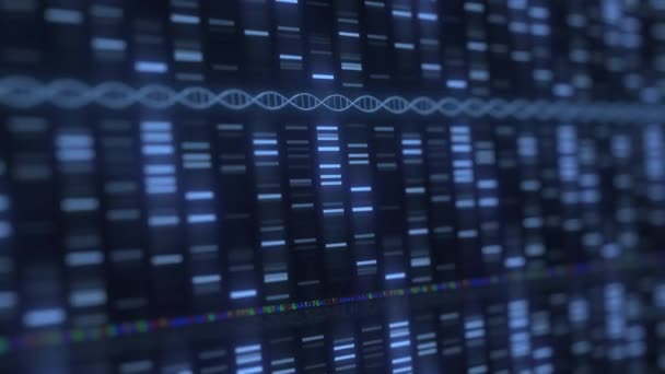 Logiciel médical d'analyse ADN en cours d'exécution. Médecine moderne ou génétique liée à l'animation 3D en boucle — Video