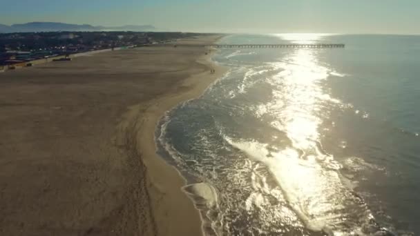 Vista aérea de pessoas desconhecidas passeando seus cães na praia de areia pela manhã. Forte dei Marmi, Itália — Vídeo de Stock