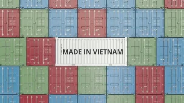 Мбаппе с текстом MADE IN VITNAM. Вьетнамский импорт или экспорт 3D анимации — стоковое видео