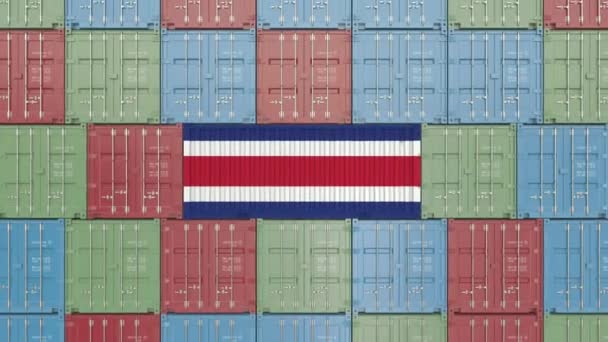 Cargo container met vlag van Costa Rica. Verwante 3D-animaties importeren of exporteren — Stockvideo