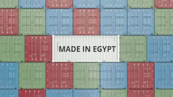 Container with MADE IN EGYPT text. Egyptian import or export related 3D animation — Stock Video