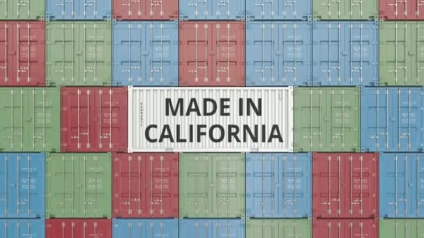 Cargo container with MADE IN CALIFORNIA text. Import or export related 3D animation — Stock Video