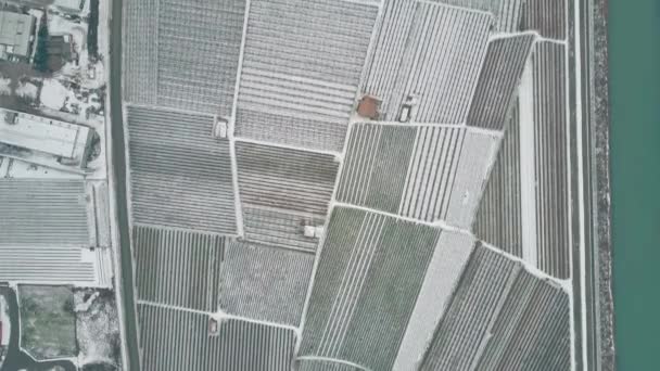 Vista aérea de arriba hacia abajo de campos cubiertos de nieve y granjas en el norte de Italia — Vídeos de Stock