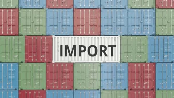Container met import tekst in vele andere containers. 3D animatie — Stockvideo