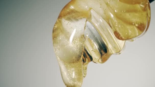 Mergulhador de mel de vidro, tiro macro — Vídeo de Stock