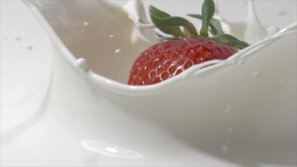 Slow Motion close-up shot van een Straberry die in crème valt. Geschoten op rood — Stockvideo
