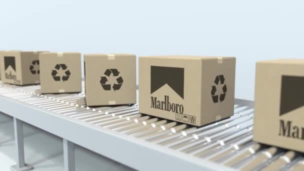 Wiele kartonów z logo Marlboro przenieść na przenośnik rolkowy. Loopable redakcyjnej animacji 3D — Wideo stockowe