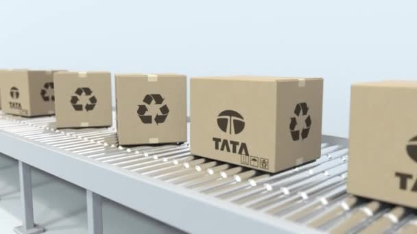 Логотип TATA на движущихся коробках на роликовом конвейере. Передвижная назидательная 3D-анимация — стоковое видео