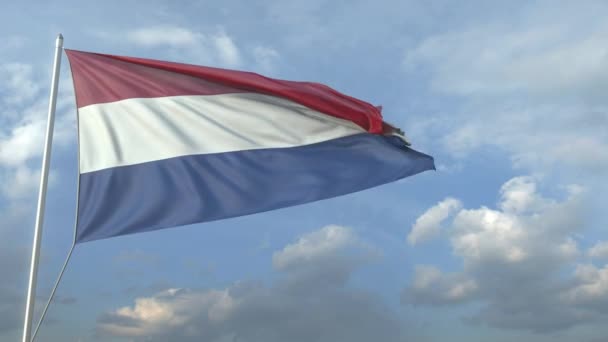 Авиалайнер пролетел над развевающимся флагом Нидерландов. 3D анимация — стоковое видео