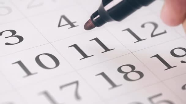 Marcado o décimo primeiro dia 11 de um mês no calendário se transforma em salvar a data texto — Vídeo de Stock