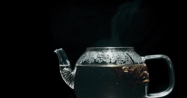 Té caliente al vapor en una tetera de vidrio sobre fondo negro — Vídeos de Stock