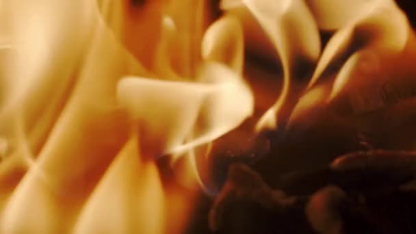 빨간 카메라에 촬영, 불타는 숯의 클로즈업 슬로우 모션 클립 — 비디오