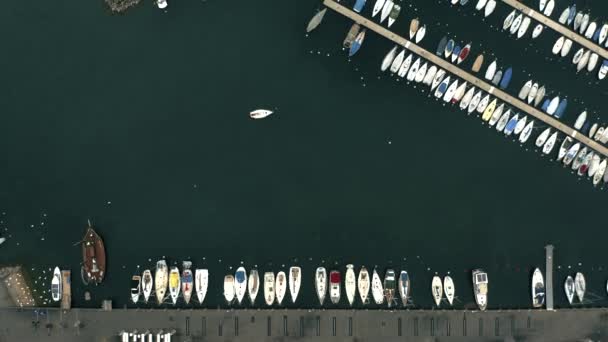 Luftaufnahme von oben nach unten von einem Segelboot im Yachthafen. lausanne, schweiz — Stockvideo