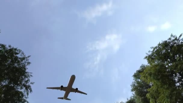 L'aereo vola sopra il cartello stradale di New York, Stati Uniti. Animazione 3D — Video Stock