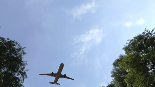 Flugzeug fliegt über Straßenschild der Vereinigten Staaten von Amerika. 3D-Animation — Stockvideo