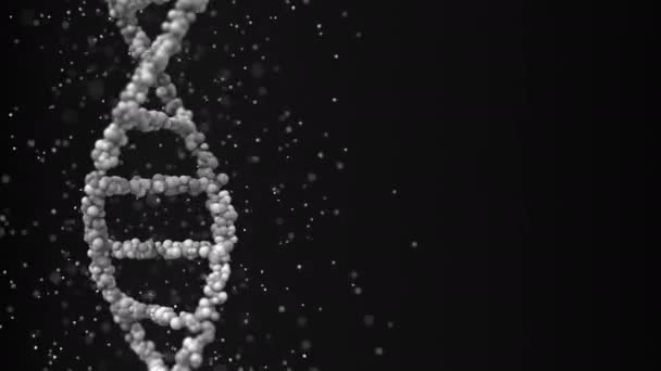 Modelo de molécula de DNA rotativo e partículas, animação 3D loopable — Vídeo de Stock