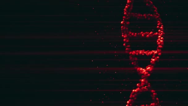 Model cząsteczki czerwonego DNA, puste miejsce na tekst lub grafikę. Pętalne tło ruchu — Wideo stockowe