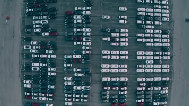 Vista aérea de cima para baixo de uma grande fábrica automotiva novo armazenamento de carros — Vídeo de Stock