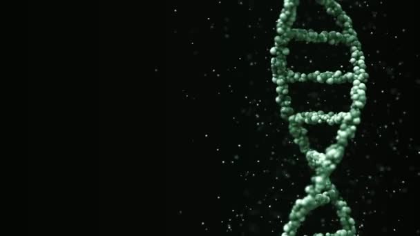 Molécula de ADN verde en movimiento con partículas, asa inconsútil — Vídeo de stock