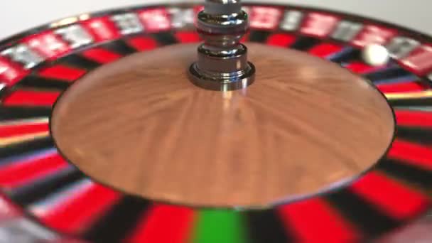 Casino roulette wheel ball hits 13 thirteen black. 3D animation — Stock Video