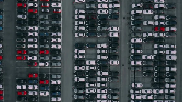 Aerial top down shot of a car factory new cars storage — Stock Photo, Image