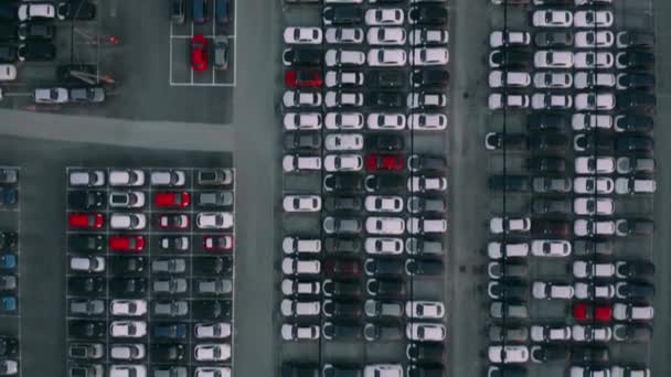 Antenn uppifrån och ner skott av en bilfabrik nya bilar lagring — Stockvideo