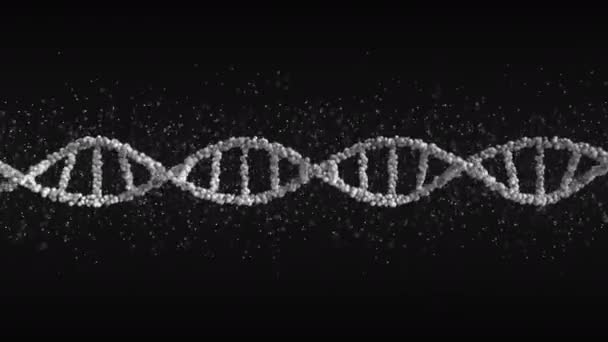 Grå DNA-molekyl modell, sömlös slinga — Stockvideo