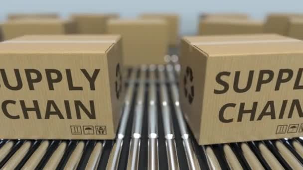 Kartons mit Supply Chain Text bewegen sich auf der Rollenbahn. Schlupflöcher 3D-Animation — Stockvideo