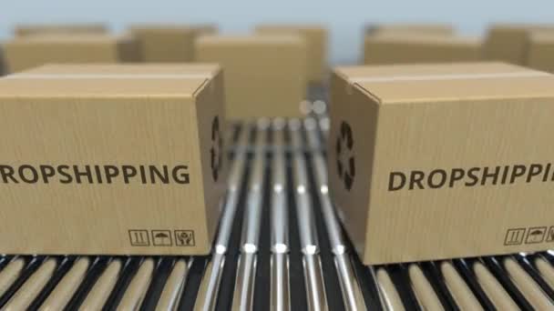 Scatole di cartone con testo DROPSHIPPING si muovono su trasportatore a rulli. Animazione 3D Loopable — Video Stock