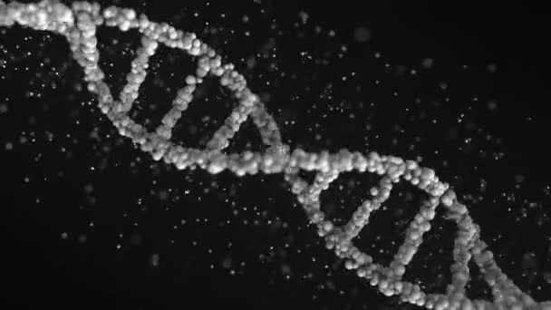 Girando modelo de molécula de DNA cinza, loop sem costura — Vídeo de Stock