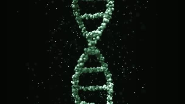 緑色のDNA分子モデル、シームレスループを回す — ストック動画