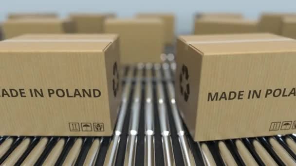 Boxes with MADE IN POLAND text on roller conveyor. Polish goods related loopable 3D animation — Stock Video