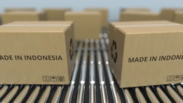 Krabice vyrobené v Indonésii s textem na kolečkových dopravníkách. Smykliitelná 3D animace související s indonéským zbožím — Stock video