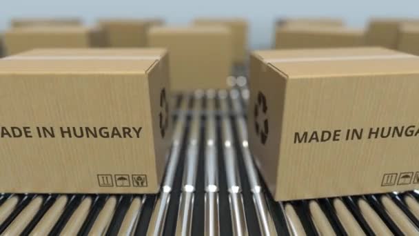 Boîtes avec texte MADE IN HONGARY sur convoyeur à rouleaux. Produits hongrois liés à l'animation 3D en boucle — Video