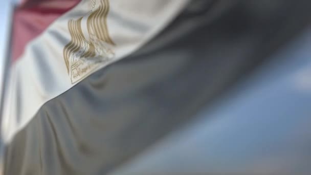 Zwaaiende vlag van Egypte, ondiepe focus close-up. Realistische loop bare 3D-animatie — Stockvideo